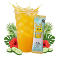 50 Case Nat Nat - The Fresh Drink Mix